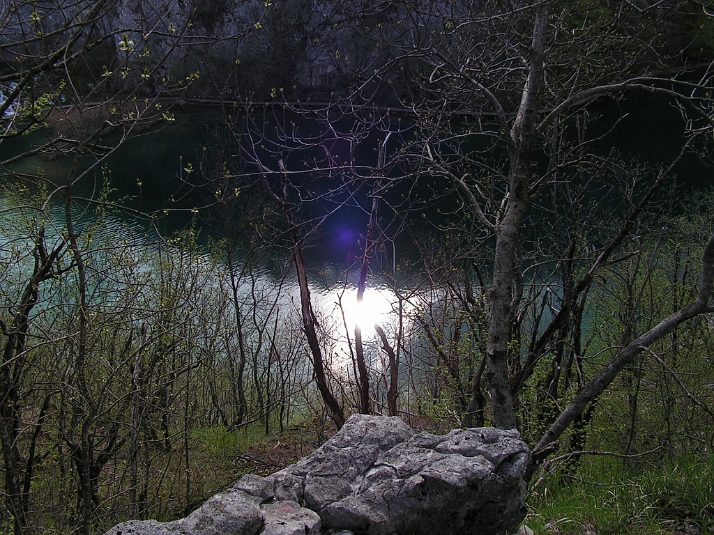 PICT0033.JPG