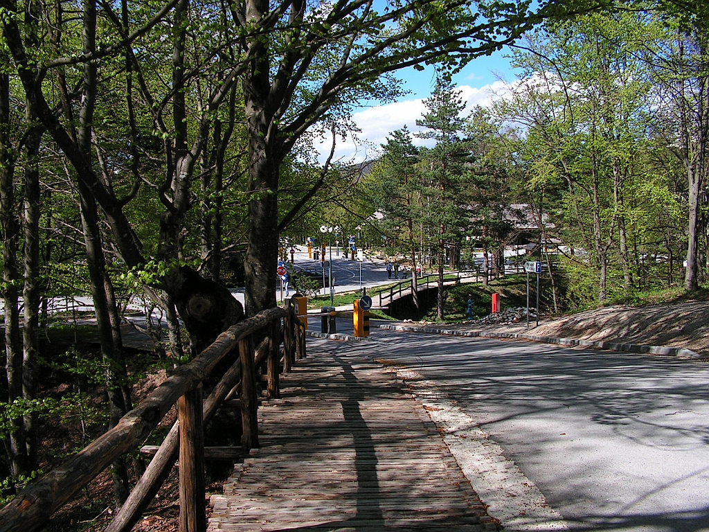 PICT0440.JPG