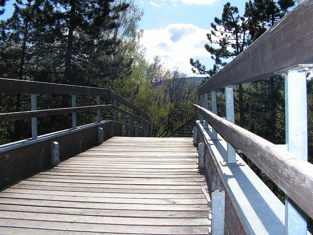 PICT0450.JPG
