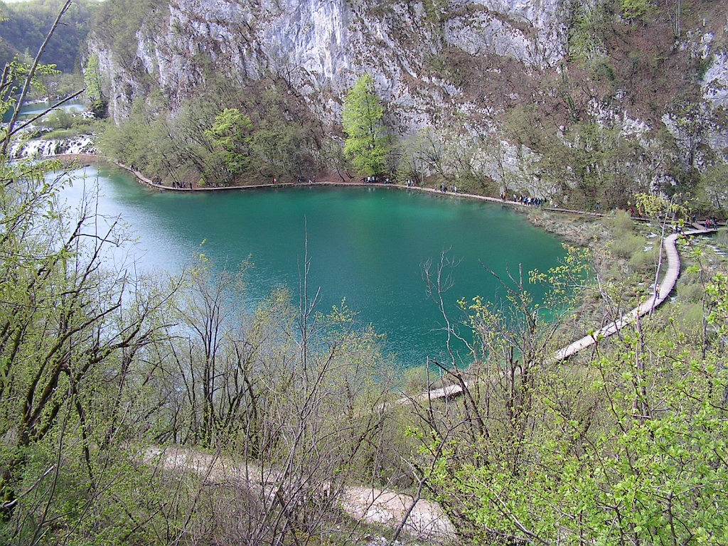 PICT0478.JPG