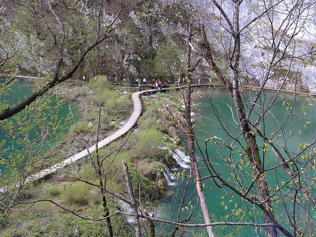 PICT0488.JPG
