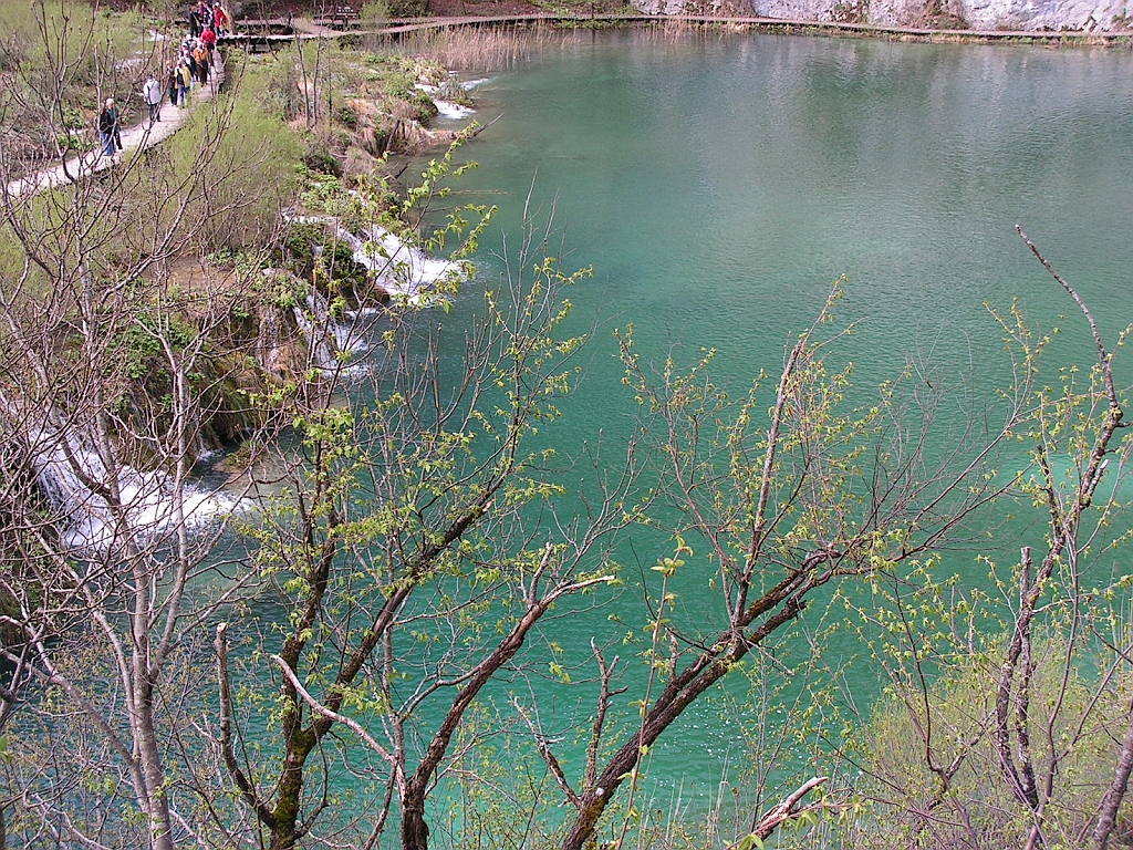 PICT0492.JPG