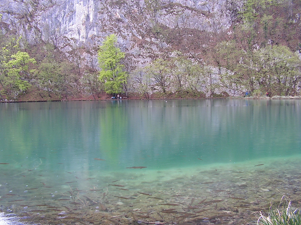 PICT0511.JPG