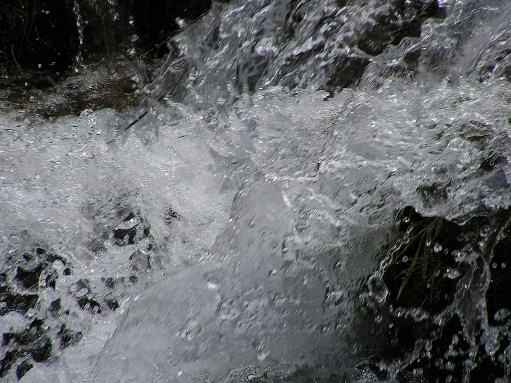 PICT0537.JPG