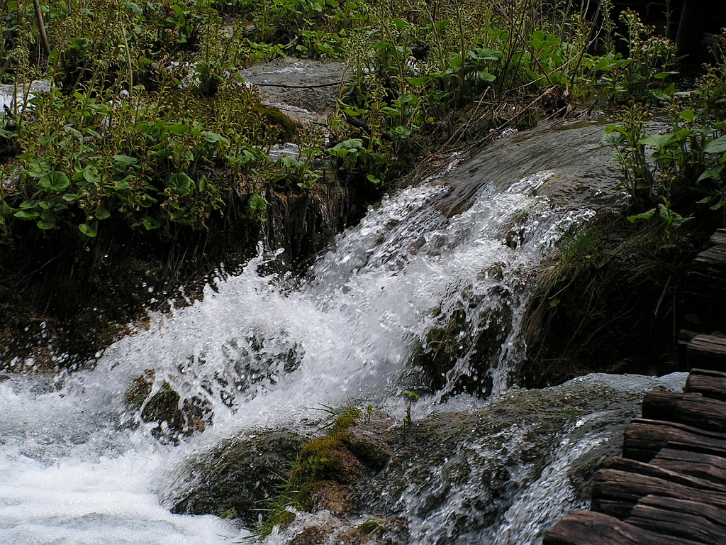 PICT0538.JPG
