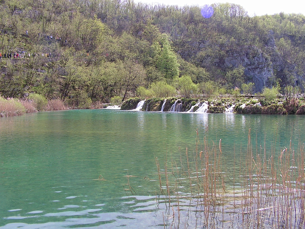 PICT0546.JPG