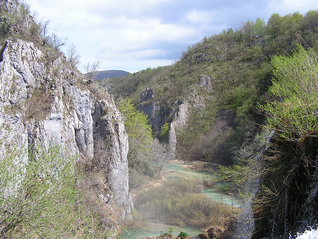 PICT0554.JPG