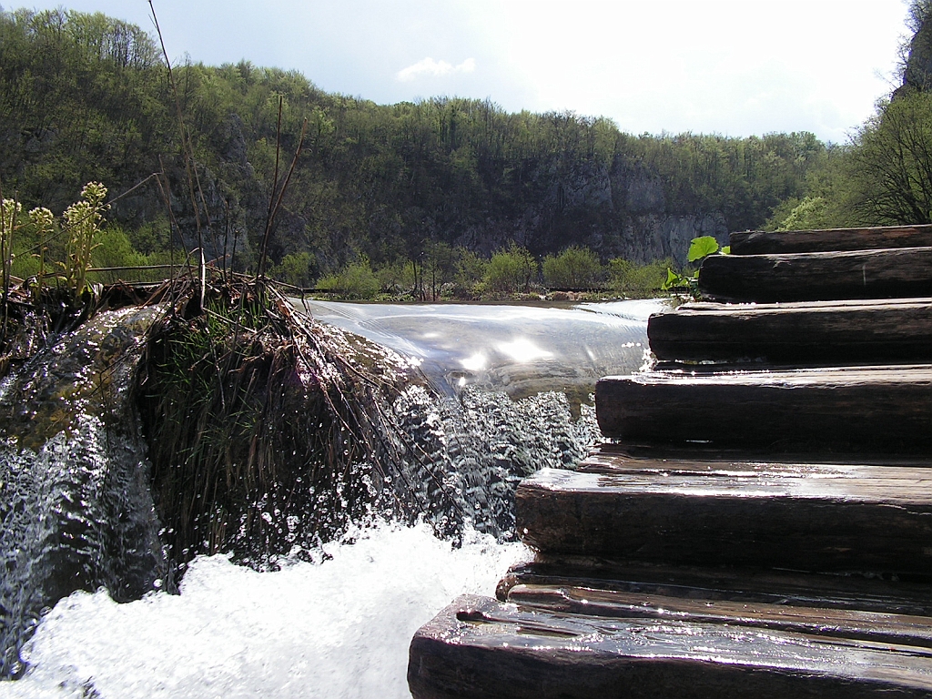 PICT0605.JPG
