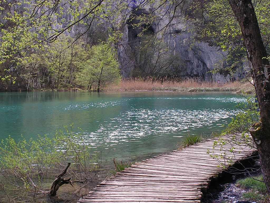 PICT0635.JPG