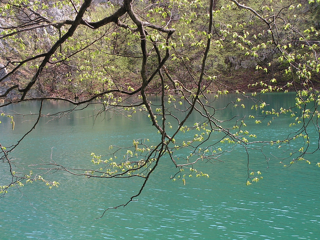 PICT0636.JPG
