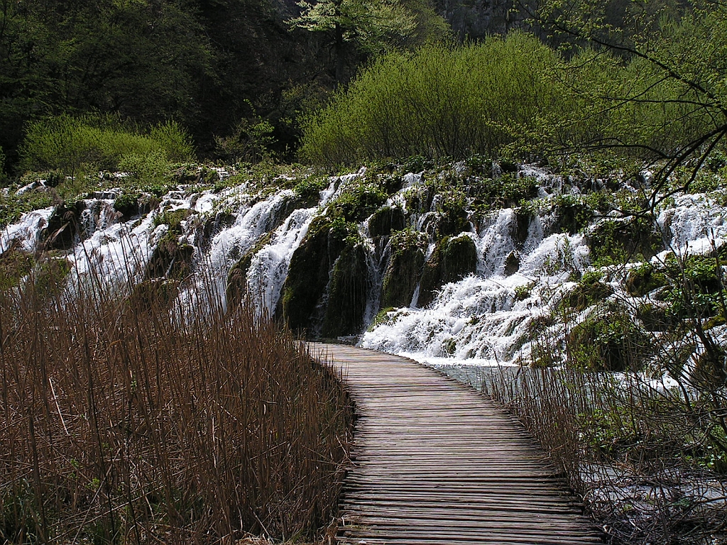 PICT0638.JPG
