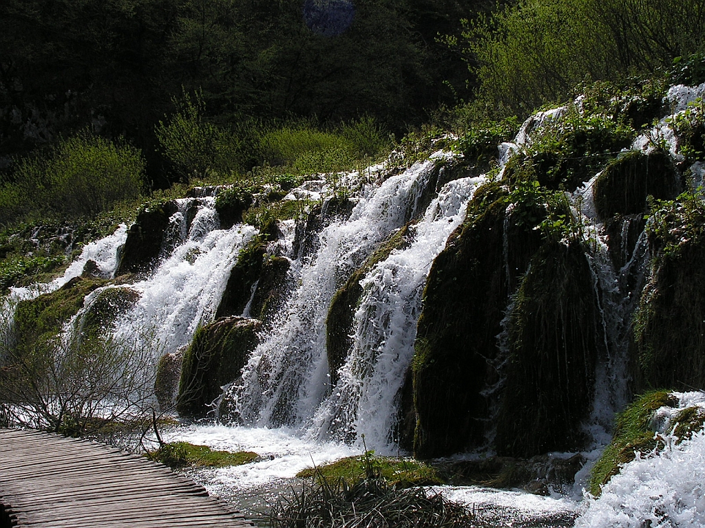PICT0641.JPG