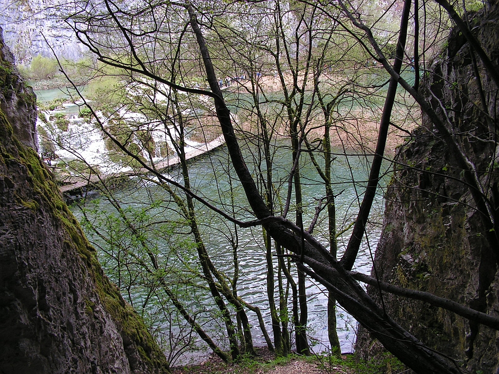 PICT0676.JPG