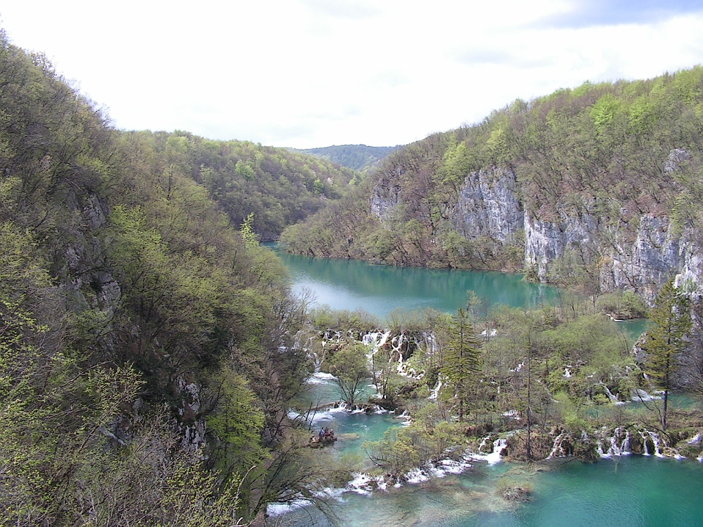 PICT0705.JPG