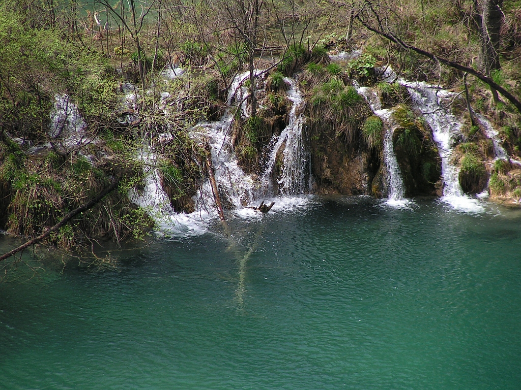 PICT0717.JPG