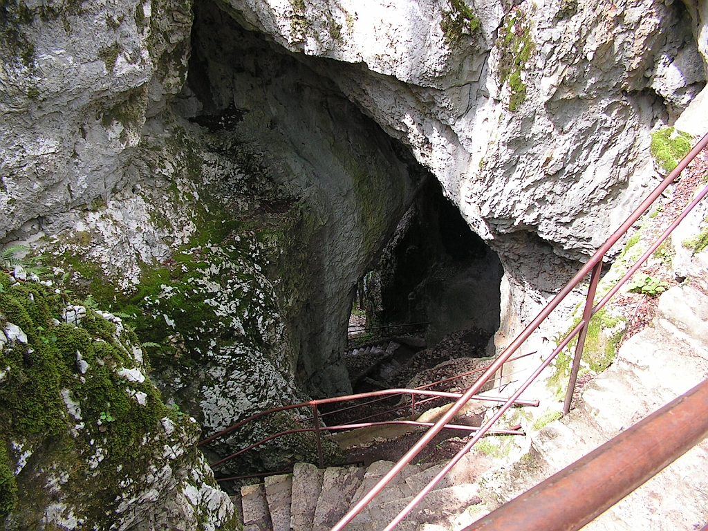 PICT0731.JPG