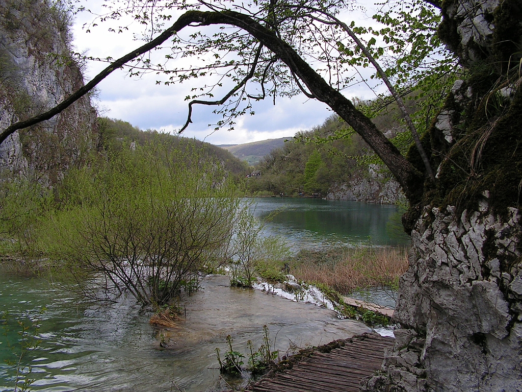 PICT0755.JPG