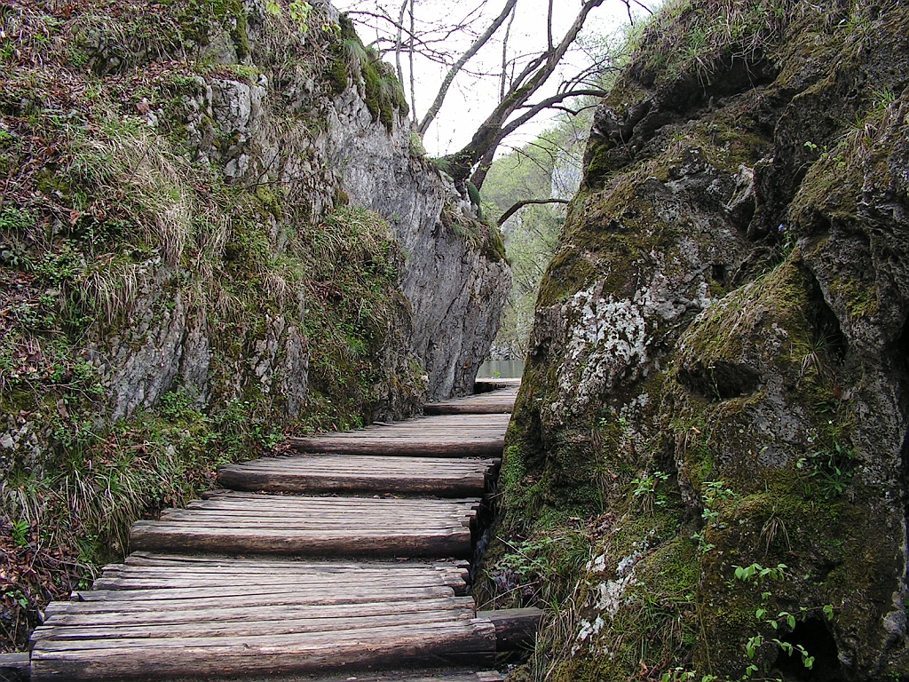 PICT0756.JPG