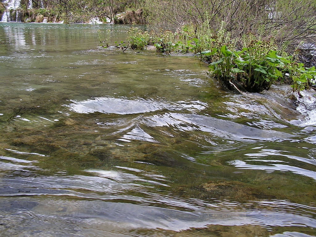 PICT0768.JPG