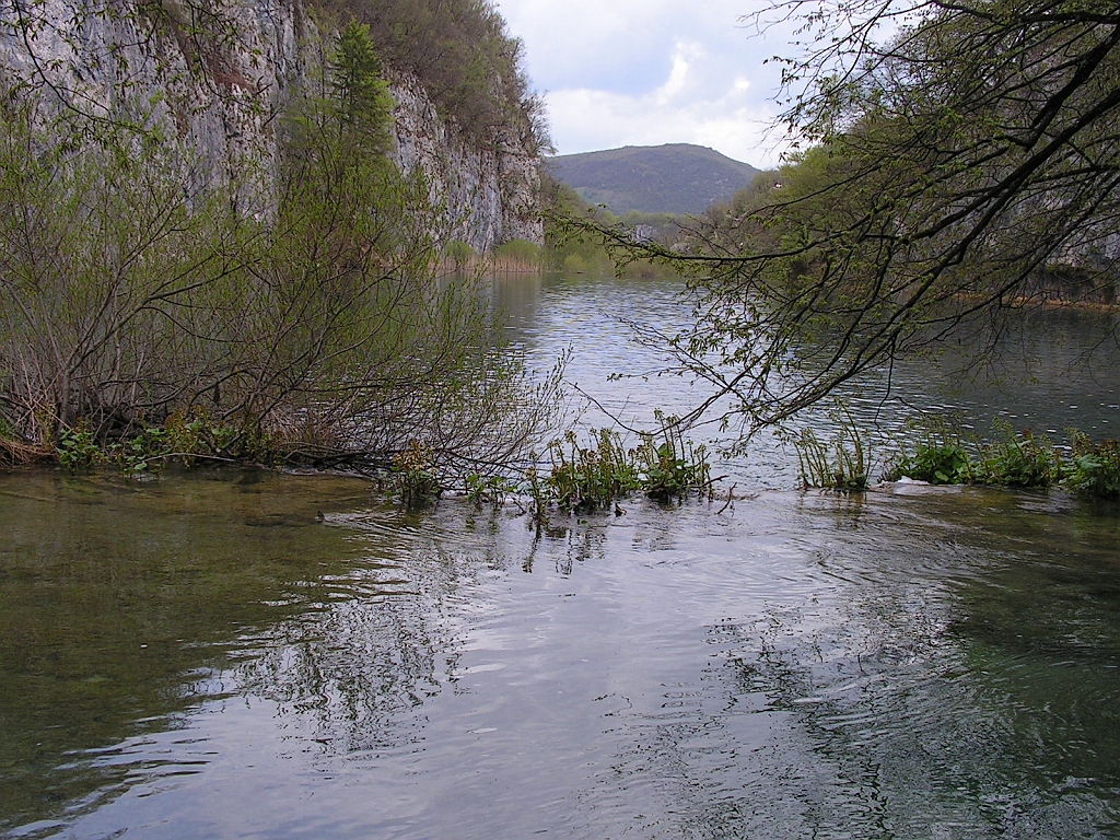 PICT0770.JPG