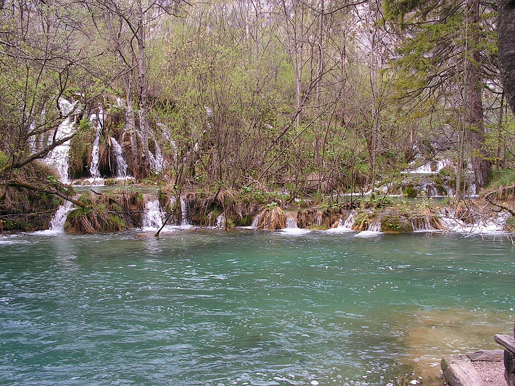 PICT0773.JPG