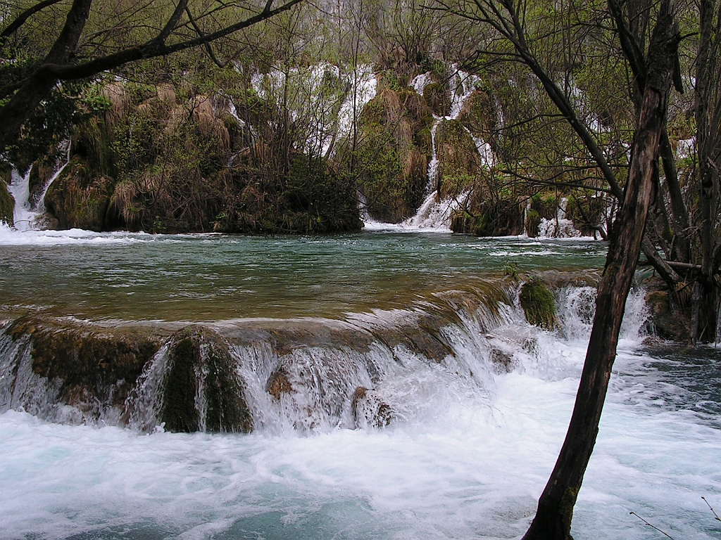 PICT0775.JPG