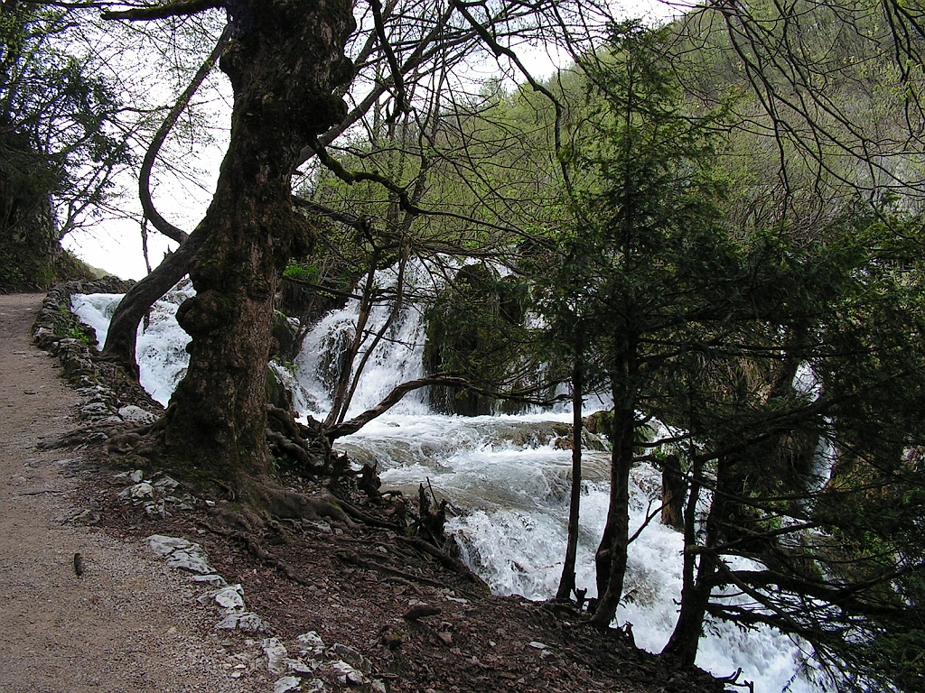 PICT0783.JPG