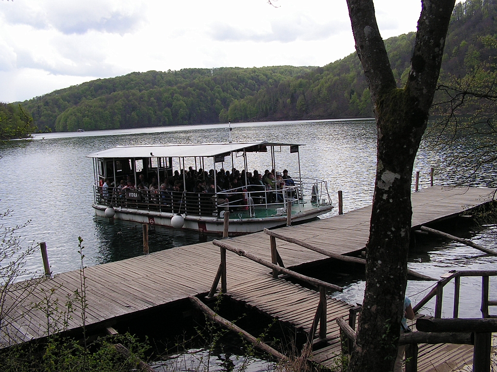 PICT0822.JPG