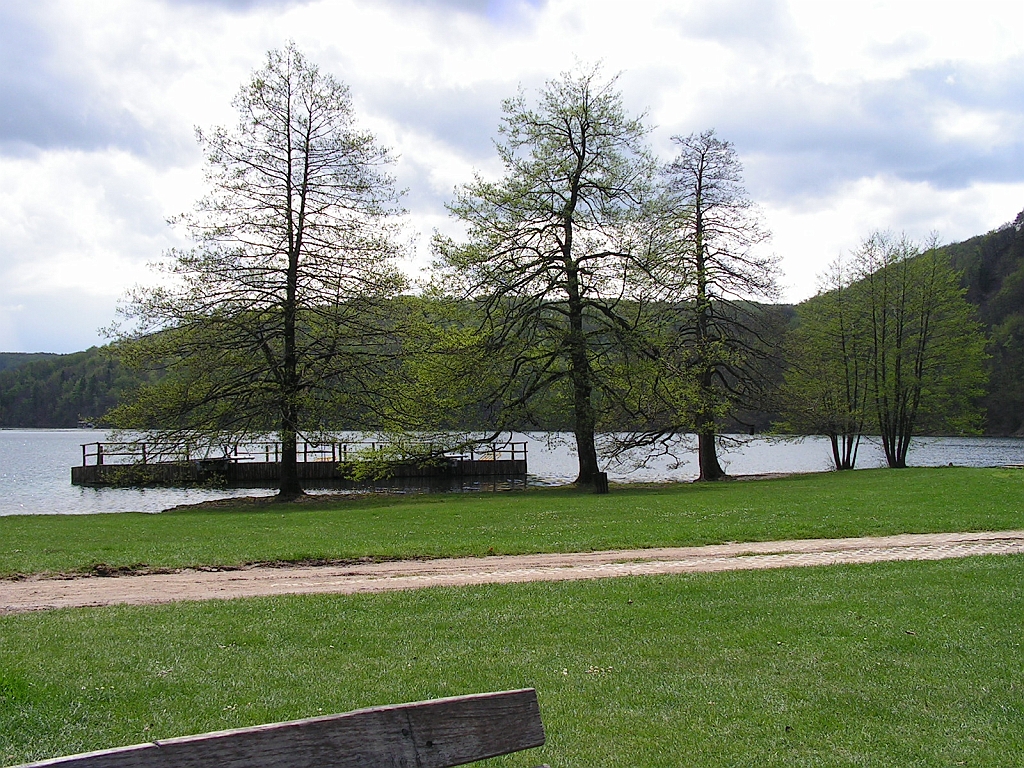 PICT0824.JPG