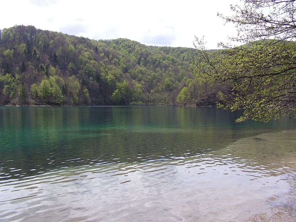 PICT0839.JPG