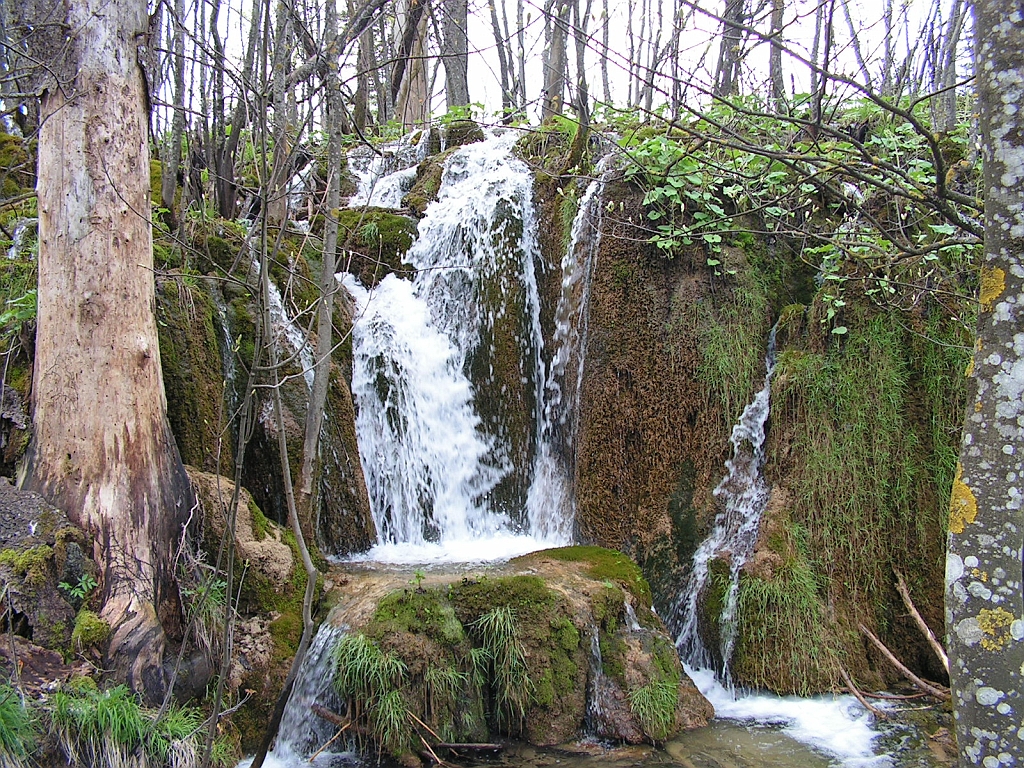 PICT0848.JPG