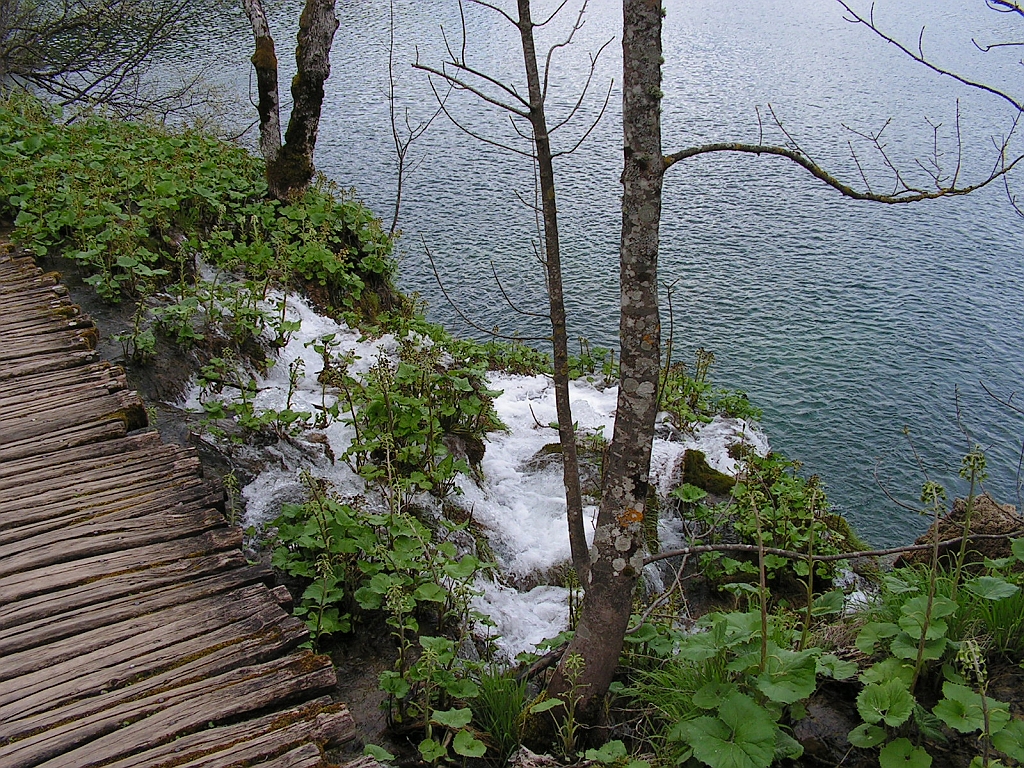 PICT0849.JPG