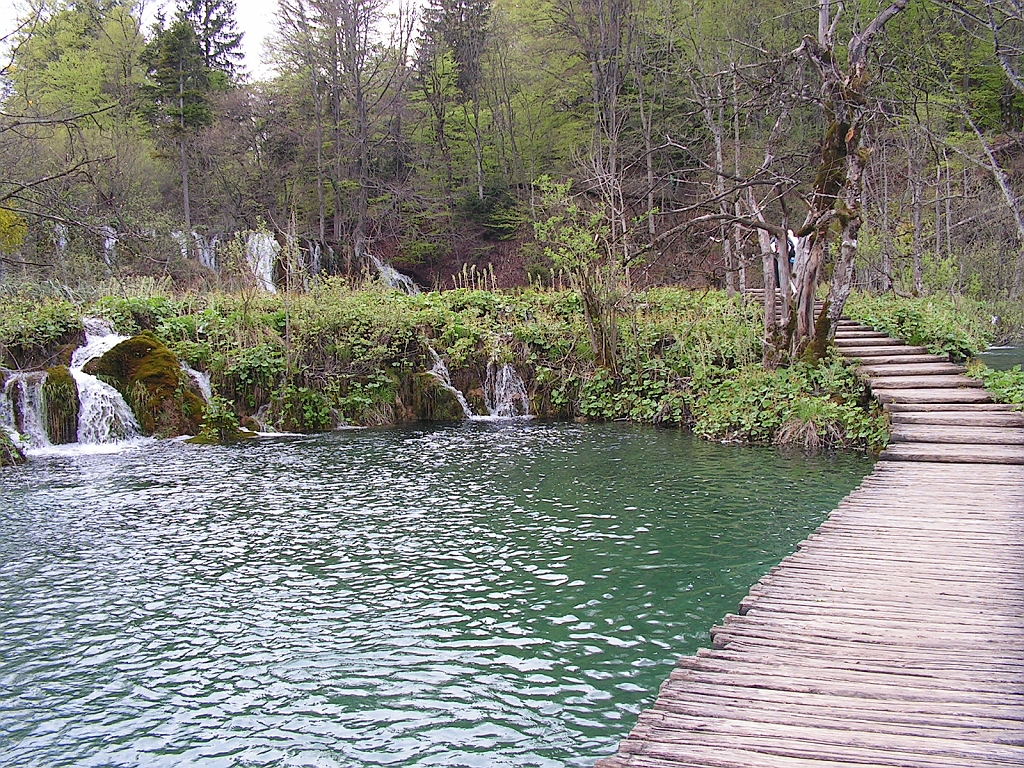 PICT0856.JPG