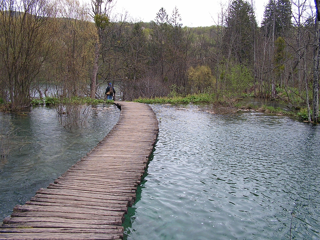 PICT0860.JPG