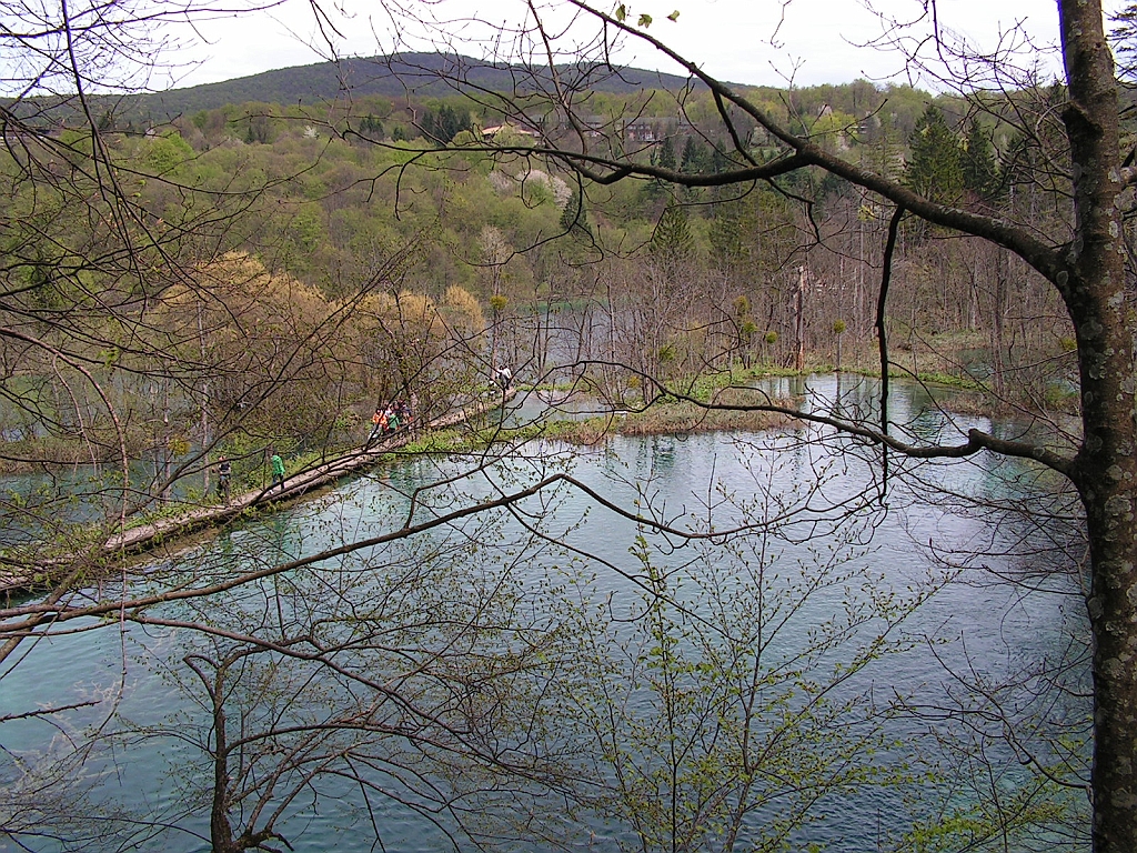 PICT0870.JPG
