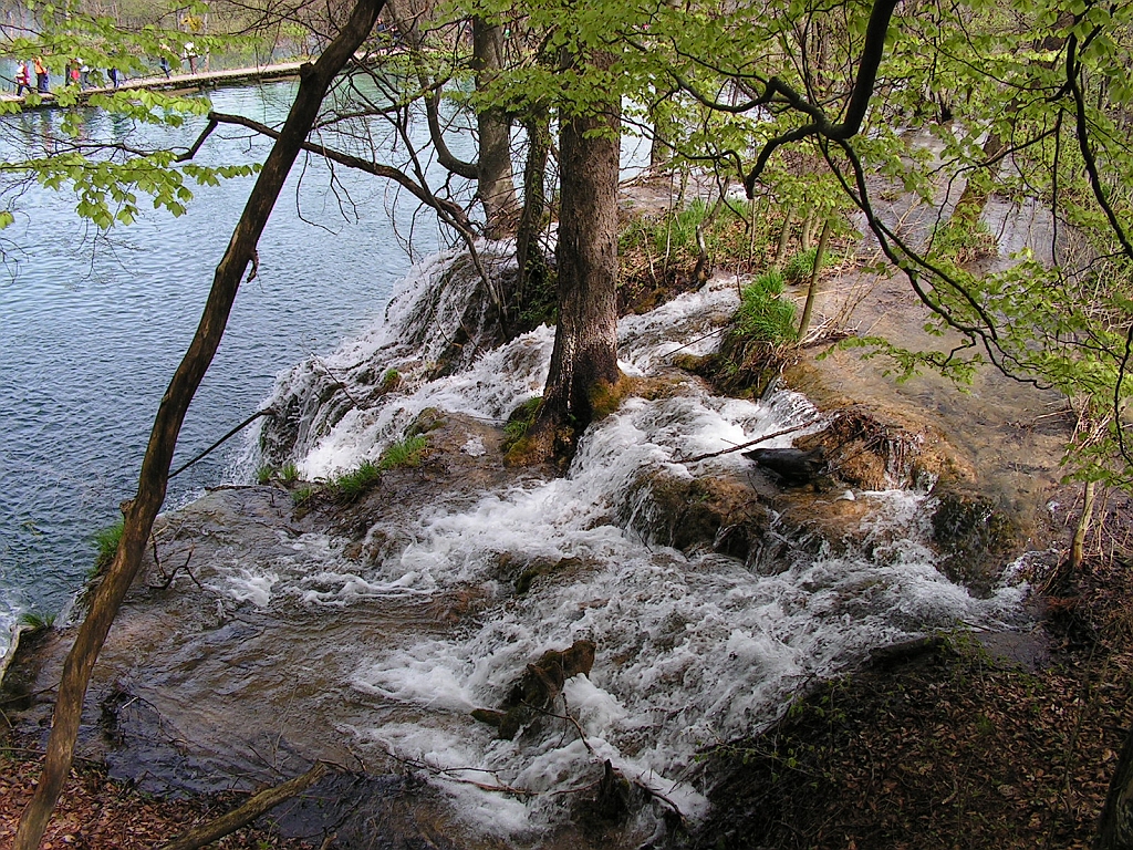 PICT0873.JPG
