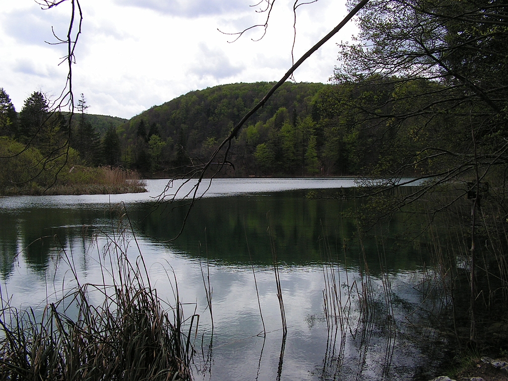 PICT0875.JPG