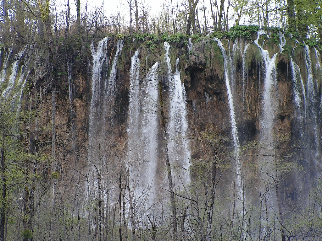 PICT0891.JPG