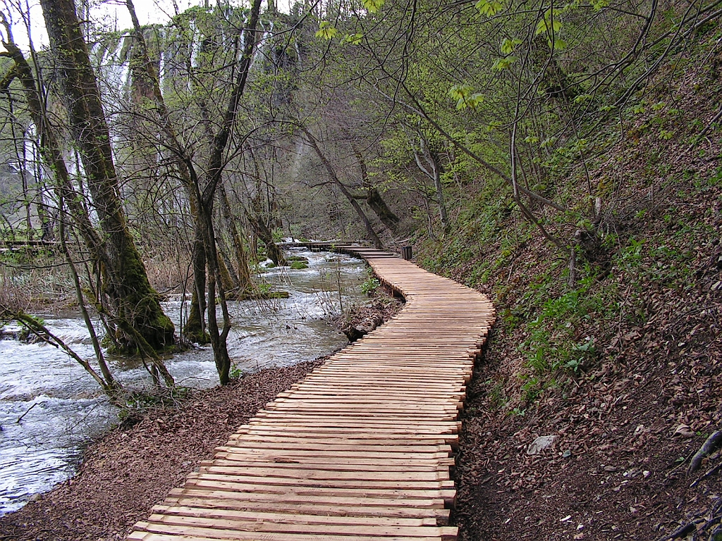 PICT0892.JPG