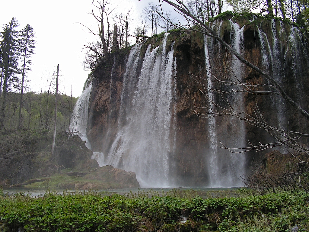 PICT0897.JPG