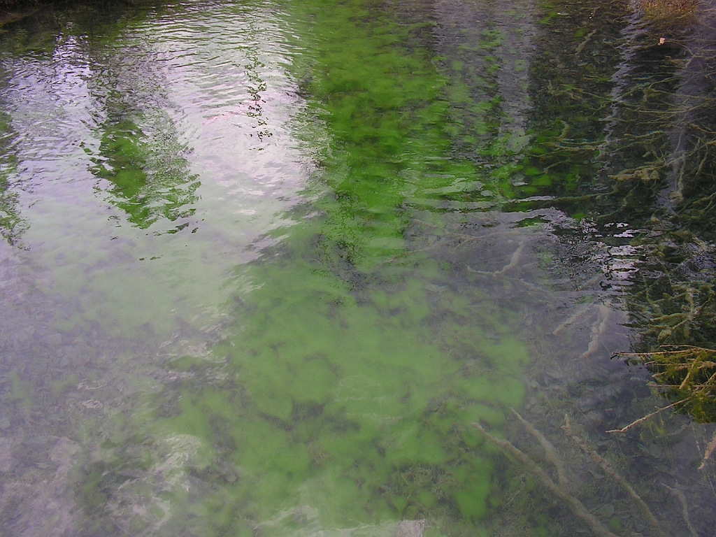 PICT0900.JPG
