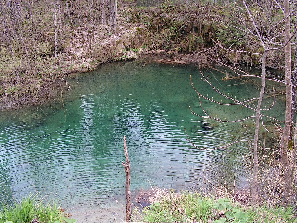 PICT0907.JPG