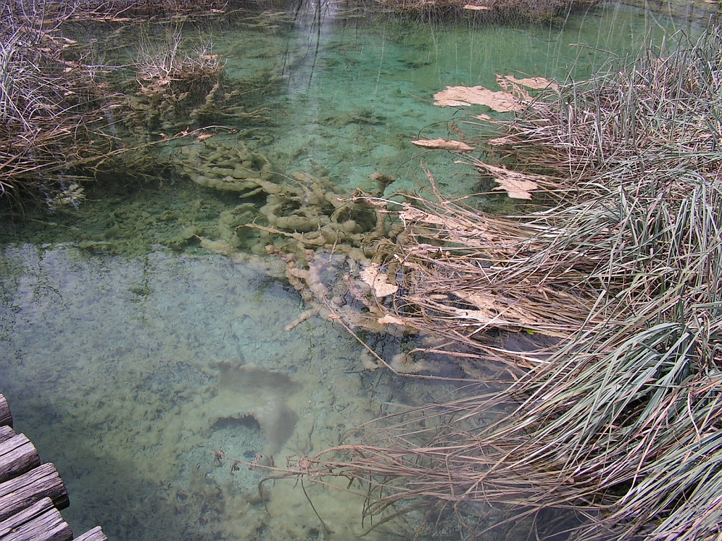 PICT0917.JPG