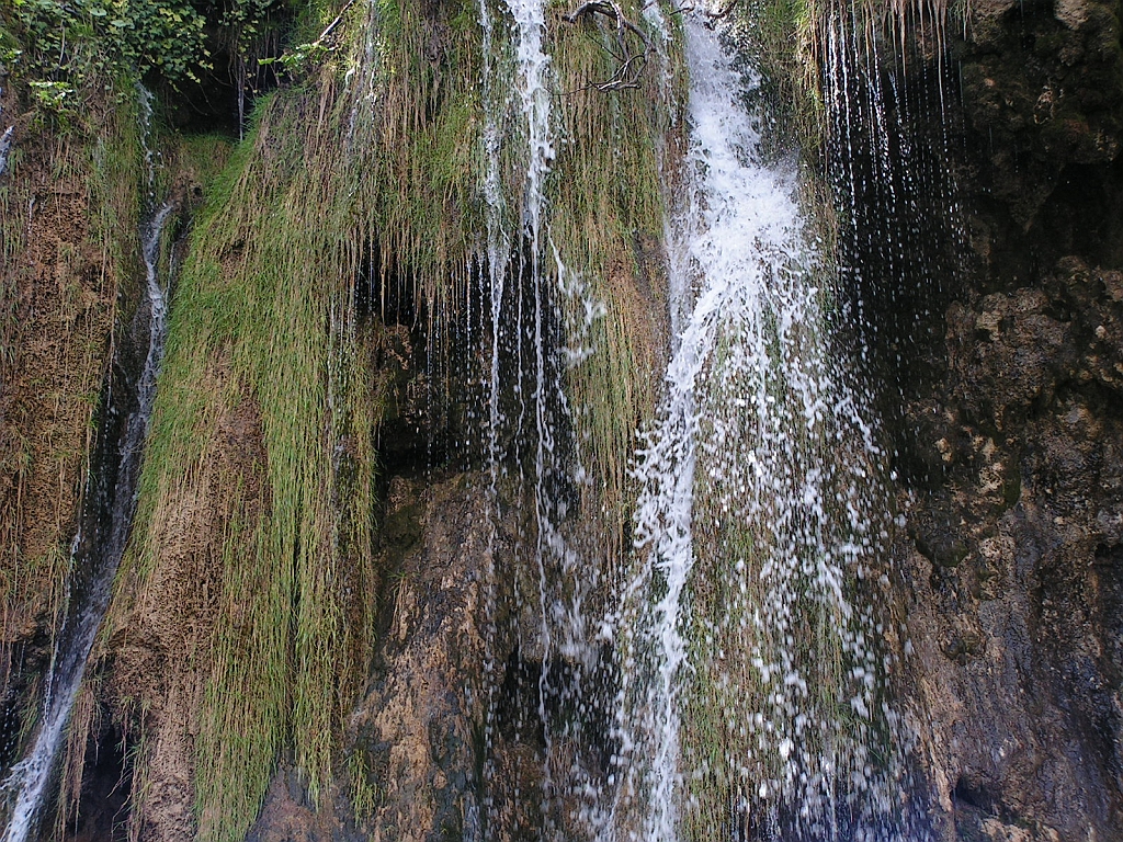 PICT0934.JPG
