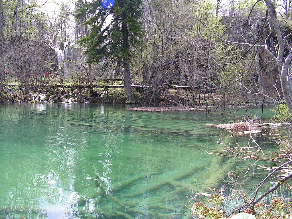 PICT0943.JPG