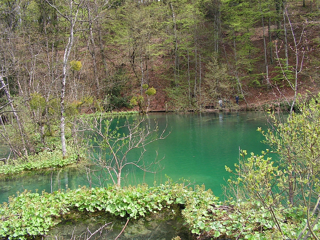 PICT0944.JPG