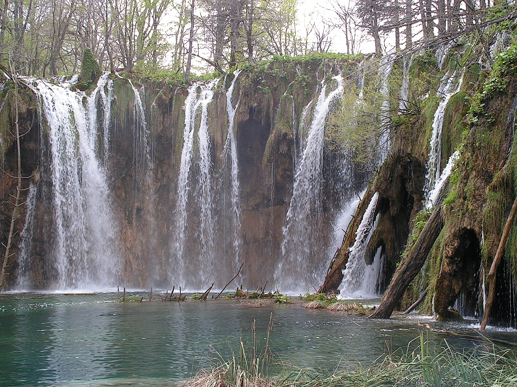PICT0949.JPG