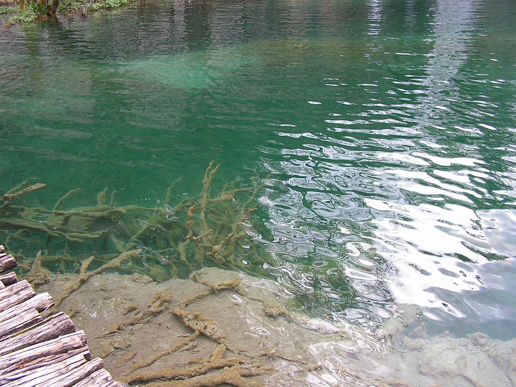 PICT0951.JPG