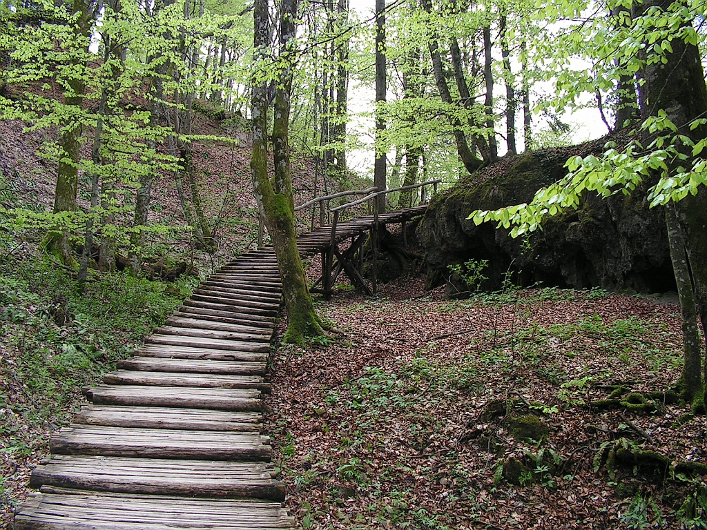 PICT0960.JPG