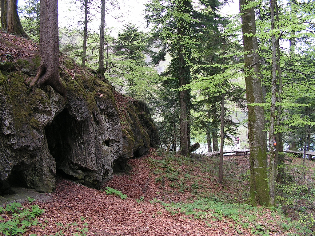 PICT0961.JPG